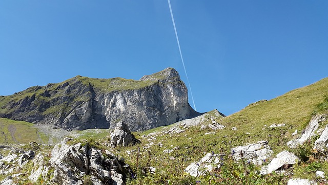 Image by Simon Steinberger from Pixabay