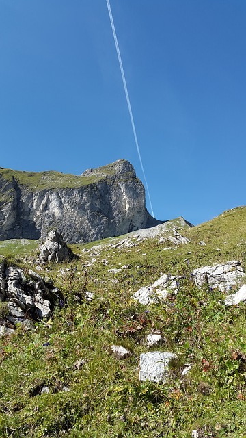 Image by Simon Steinberger from Pixabay