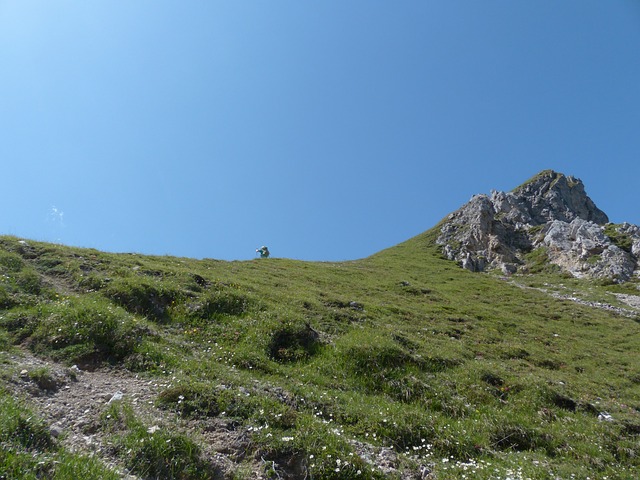 Image by Hans Braxmeier from Pixabay