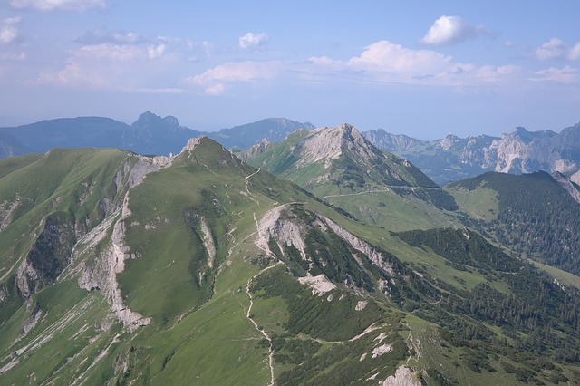 Image by Hans Braxmeier from Pixabay