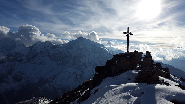 Image by Simon Steinberger from Pixabay