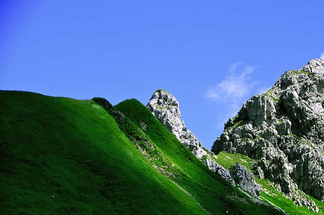 Image by PIRO4D from Pixabay