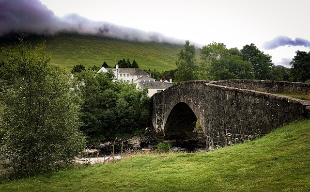 Image by Claire Gillan from Pixabay