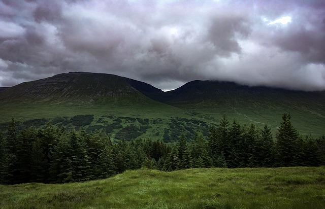 Image by Claire Gillan from Pixabay