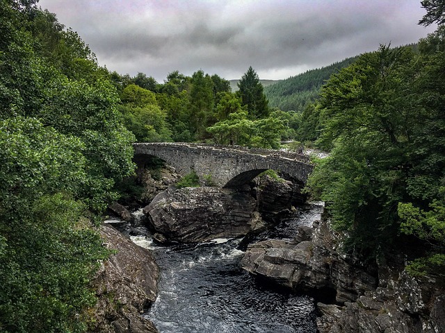 Image by Claire Gillan from Pixabay