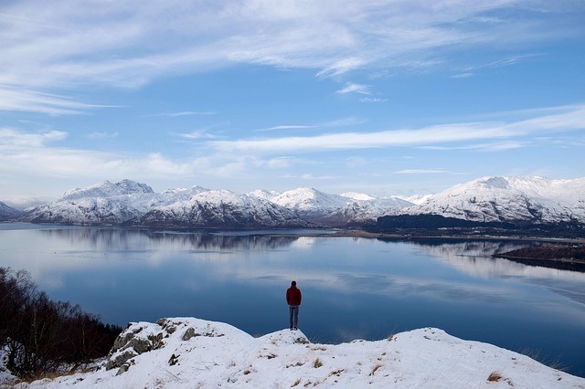 Image by StockSnap from Pixabay