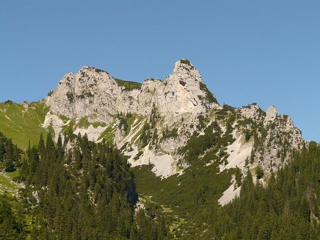 Image by Hans Braxmeier from Pixabay