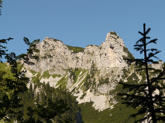 Image by Hans Braxmeier from Pixabay