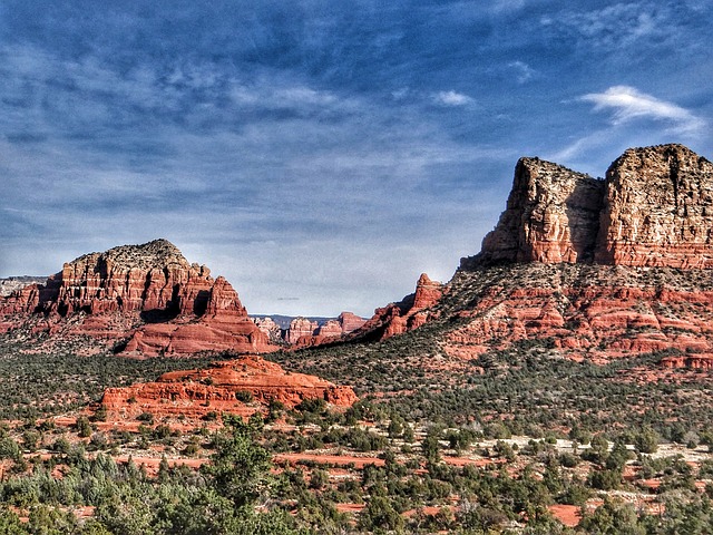 Image by Austin Monroe from Pixabay