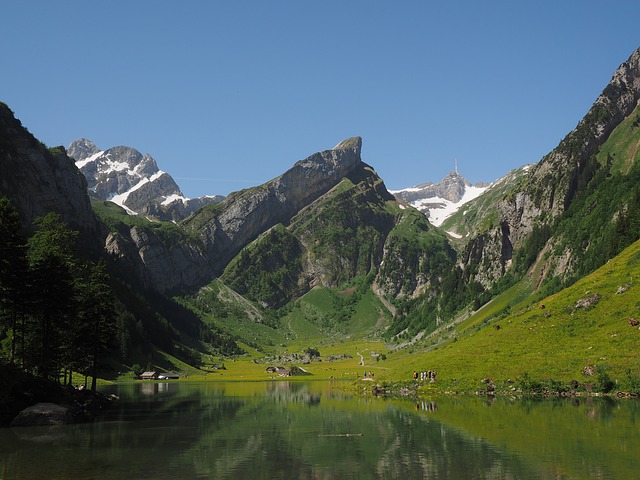 Image by Hans Braxmeier from Pixabay
