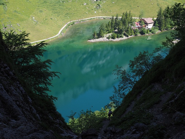 Image by Hans Braxmeier from Pixabay