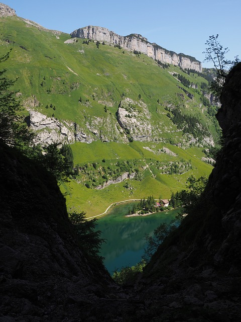 Image by Hans Braxmeier from Pixabay