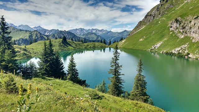 Image by captchaos21 from Pixabay