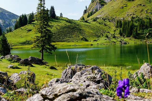 Image by Stefan Nyffenegger from Pixabay