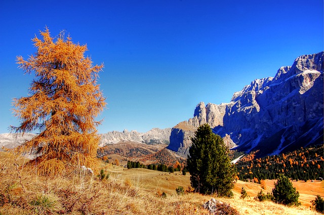 Image by kordula vahle from Pixabay
