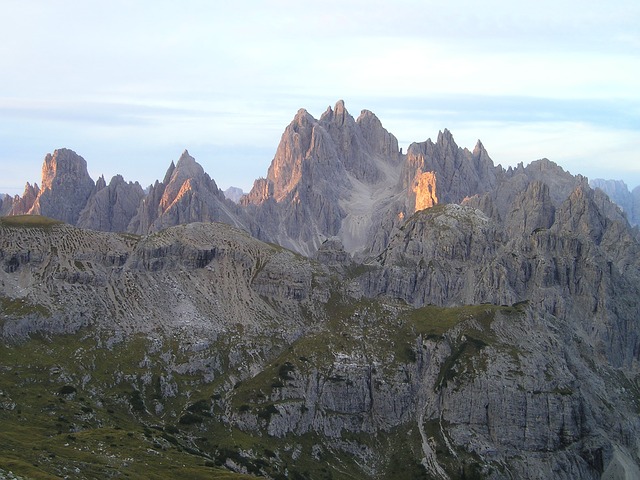 Image by Simon Steinberger from Pixabay