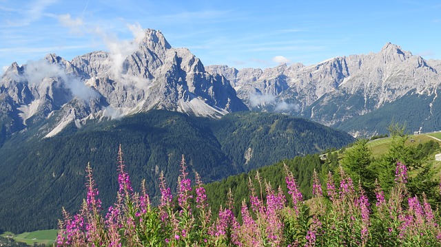 Image by Rolf Günther from Pixabay