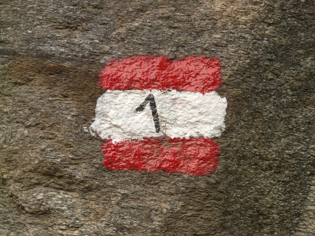 Image by Hans Braxmeier from Pixabay
