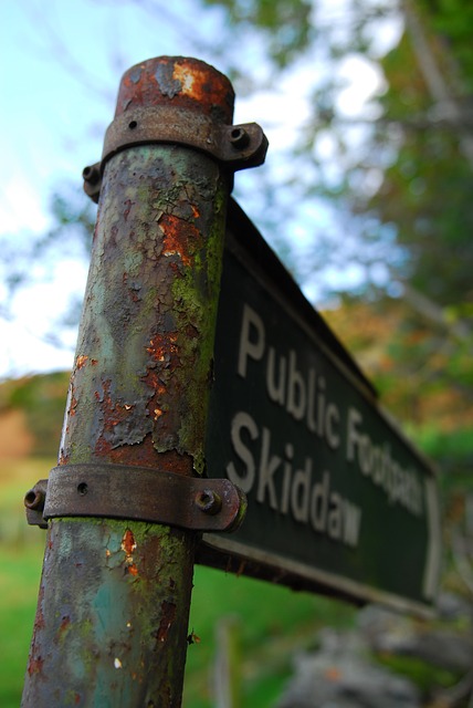 Image by Graham Wallis from Pixabay