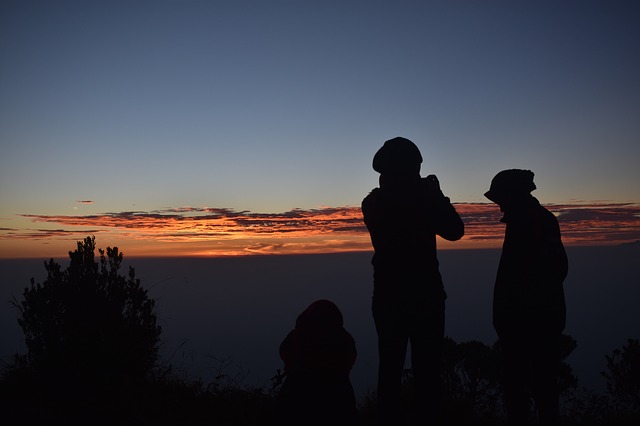 Image by Aliko Sunawang from Pixabay