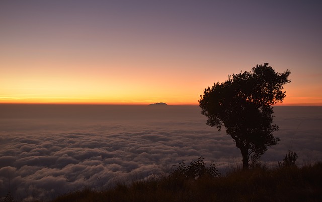 Image by Aliko Sunawang from Pixabay