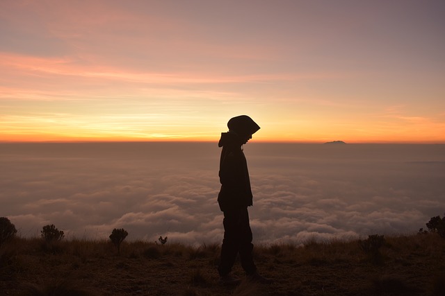 Image by Aliko Sunawang from Pixabay