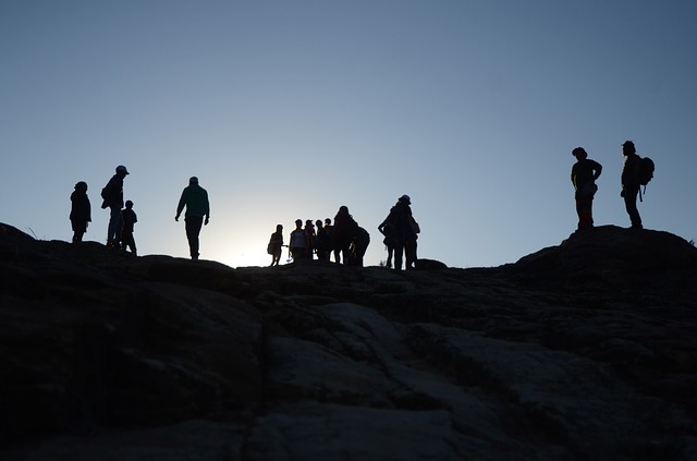 Image by Simon Allen from Pixabay