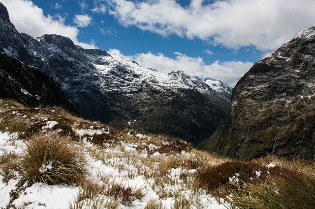 Image by Free-Photos from Pixabay