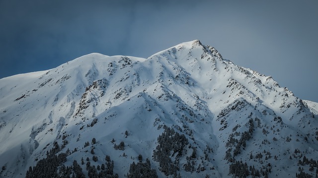 Image by StockSnap from Pixabay