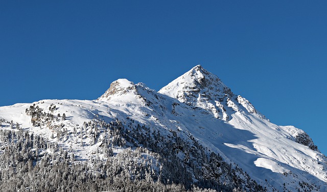 Image by pixel2013 from Pixabay