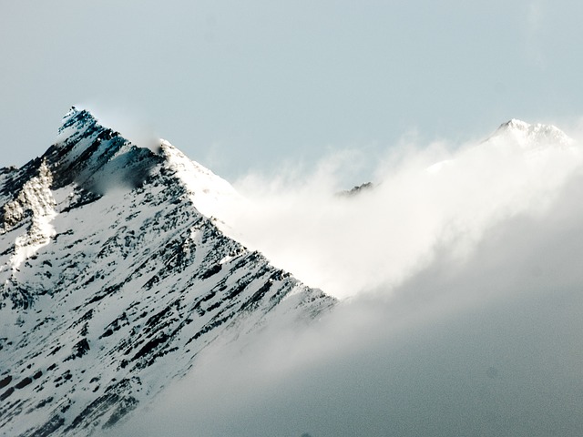 Image by Grégory ROOSE from Pixabay