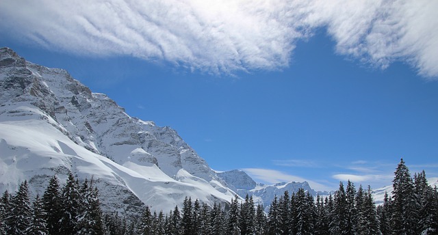 Image by Juliette Kober from Pixabay