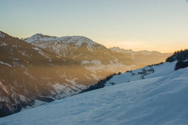 Image by Julia Schwab from Pixabay