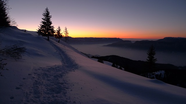 Image by Foundry Co from Pixabay