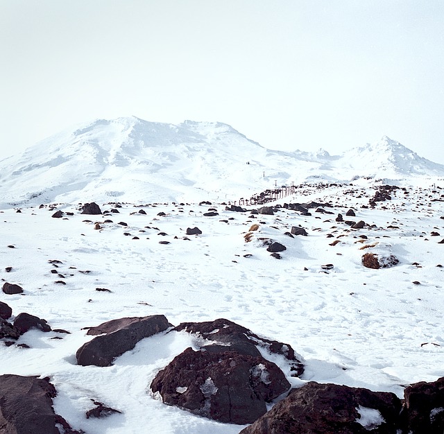 Image by Free-Photos from Pixabay