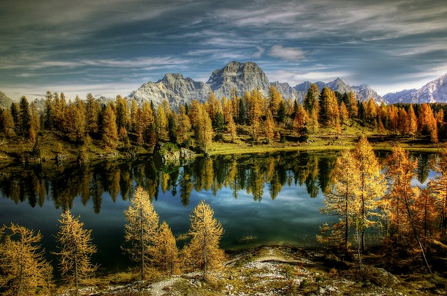 Image by kordula vahle from Pixabay