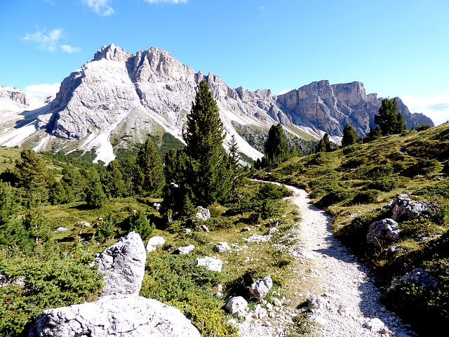 Image by Faye24 from Pixabay