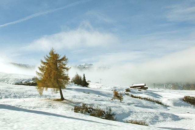 Image by vwald from Pixabay