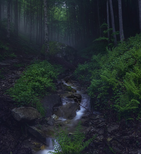Image by Ioannis Ioannidis from Pixabay