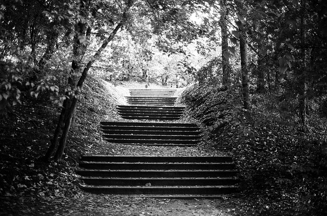 Image by Benjamin Balazs from Pixabay