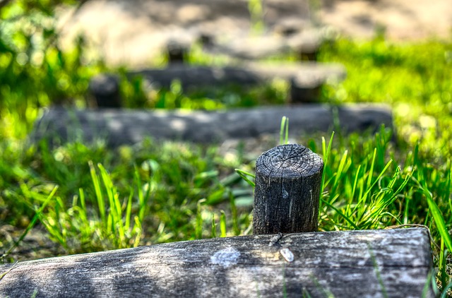 Image by Markus Distelrath from Pixabay