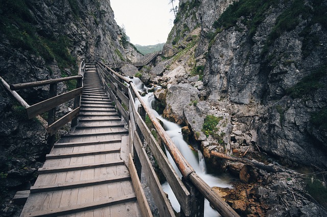 Image by Free-Photos from Pixabay