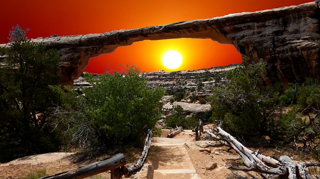 Image by RENE RAUSCHENBERGER from Pixabay