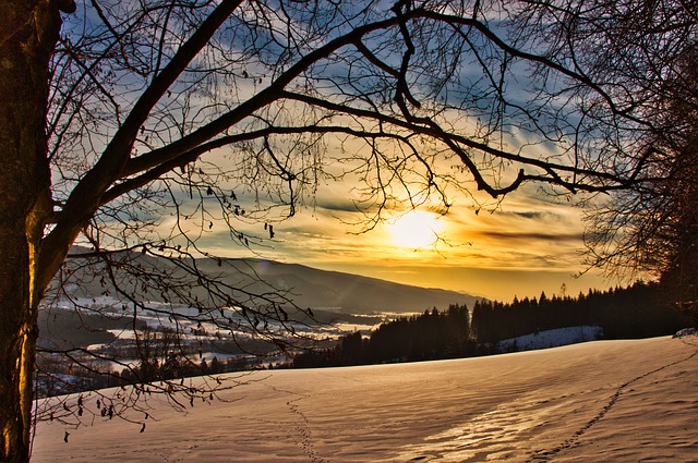 Image by Lisa eppinger from Pixabay