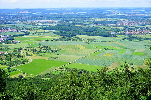Image by Hans Braxmeier from Pixabay