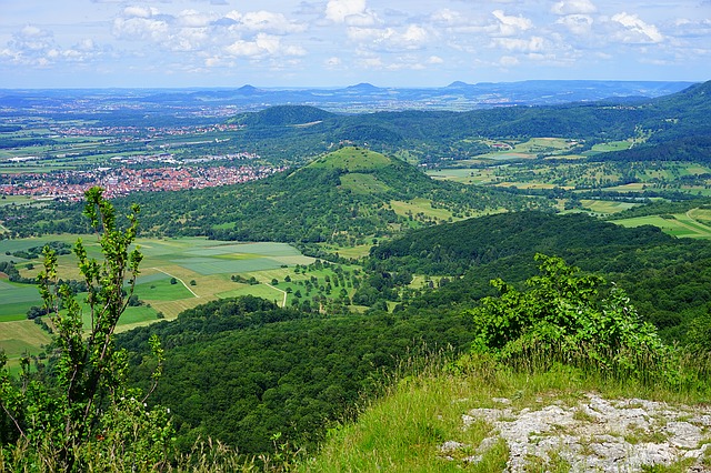Image by Hans Braxmeier from Pixabay