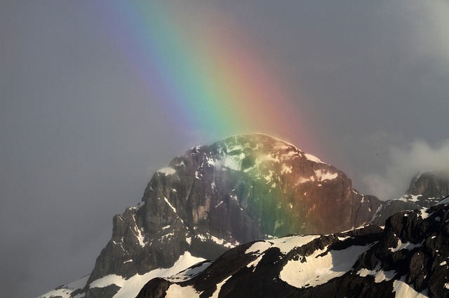 Image by violetta from Pixabay