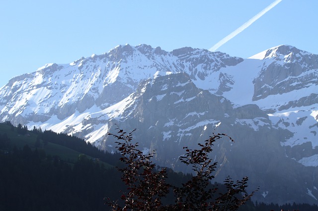 Image by violetta from Pixabay