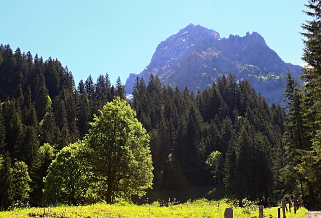 Image by violetta from Pixabay