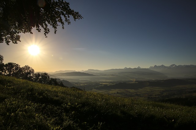 Image by fxxu from Pixabay